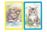 card-size-cat